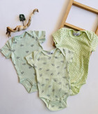 بادی